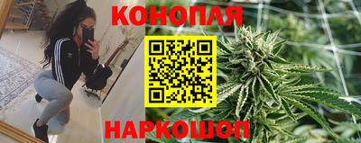 сатива Камышлов