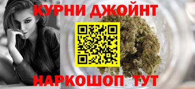 сатива Камышлов